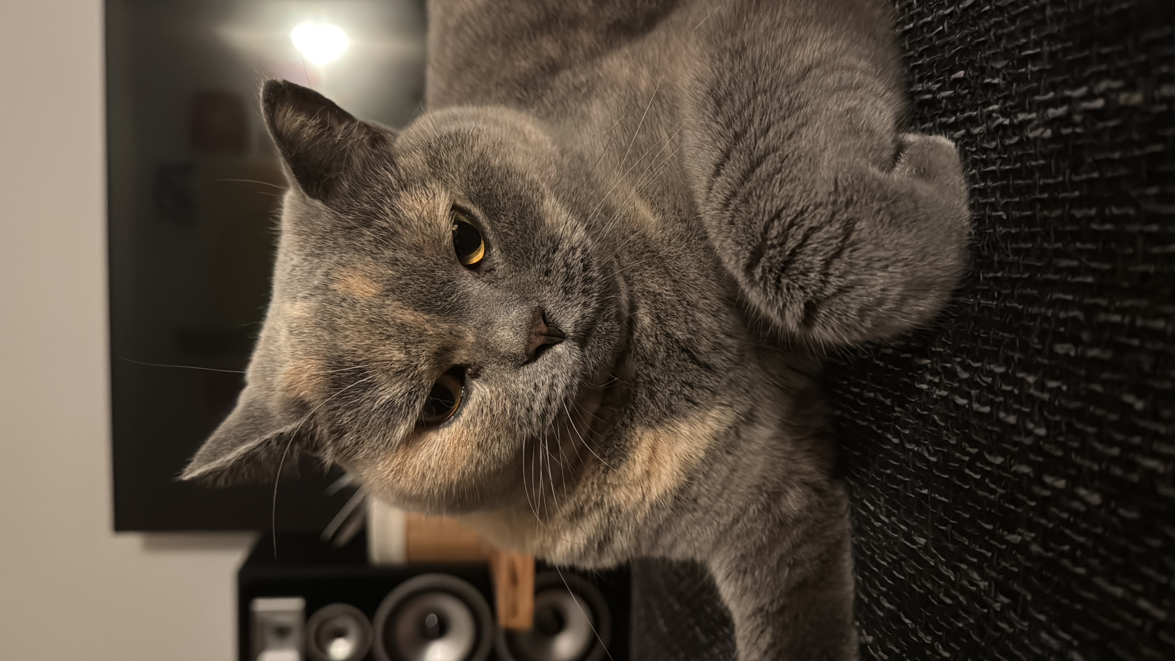 Bastelarbeiten aus der Kreativwerkstatt