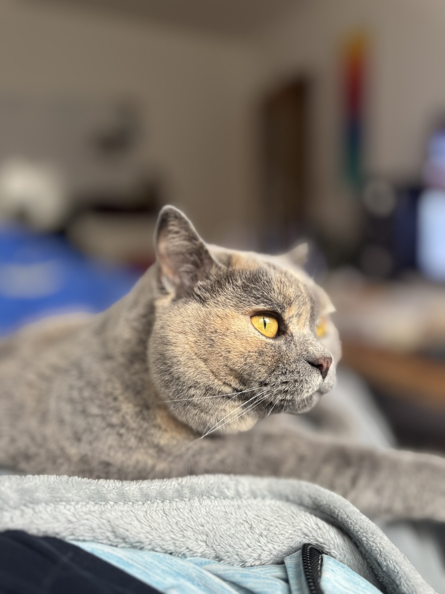 Farben und kreative Materialien