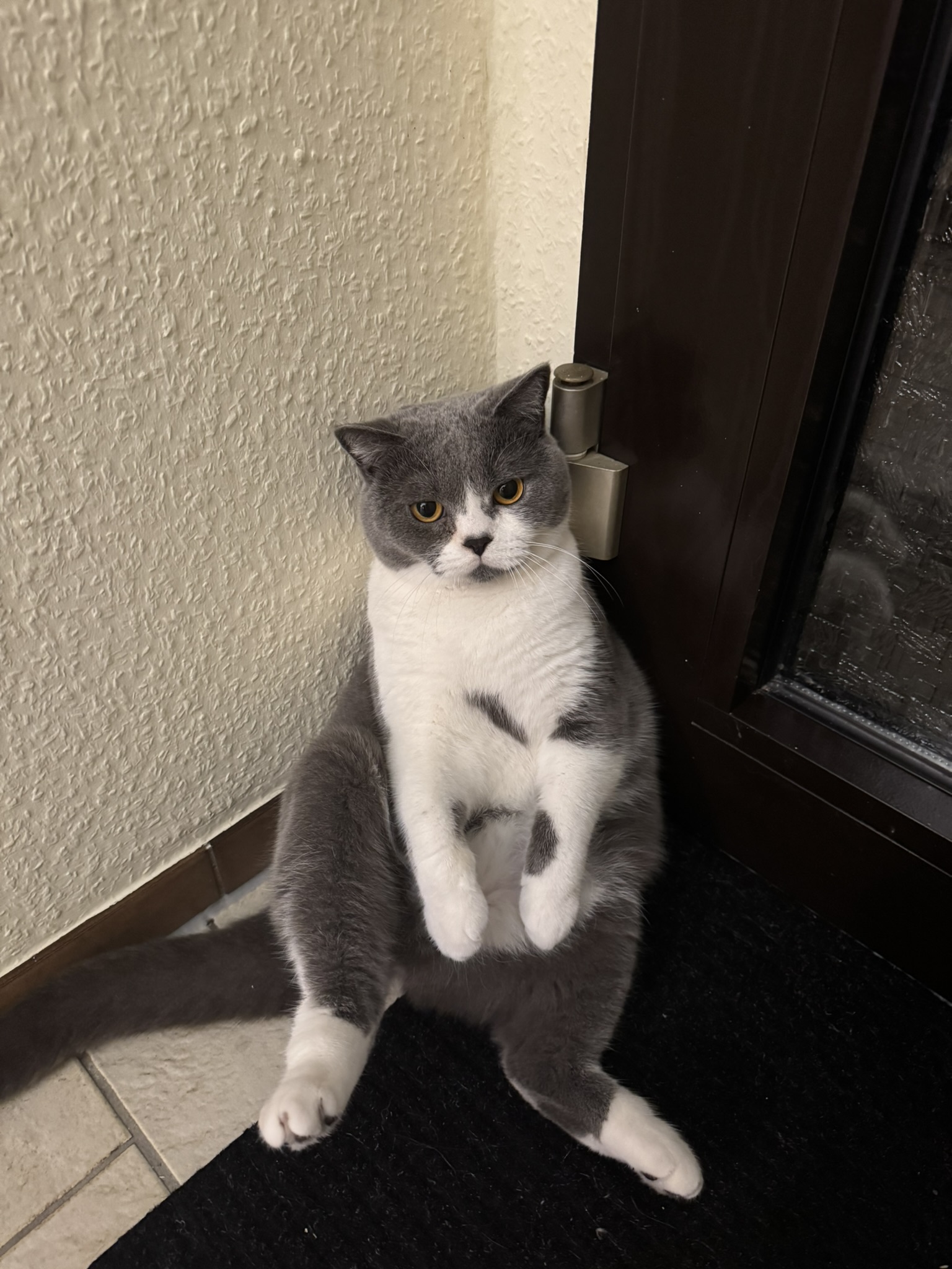 Kreative Kinderkunst